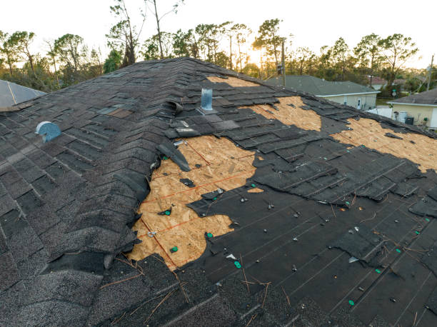 Emergency Roof Repair in Forest Glen, MD