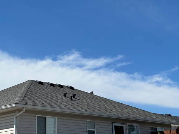 Professional Roofing Service in Forest Glen, MD